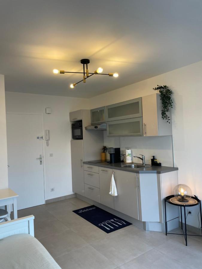 T2 Au Calme, Proche Des Plages, Climatise Et Parking Prive Cagnes-sur-Mer Buitenkant foto